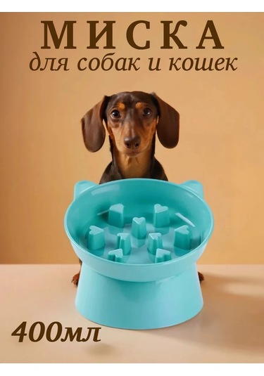 Vektorı Kedi Kabı 391740898