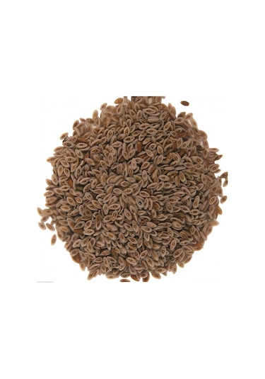 Aktar Marka Karnıyarık Tohumu 250 G