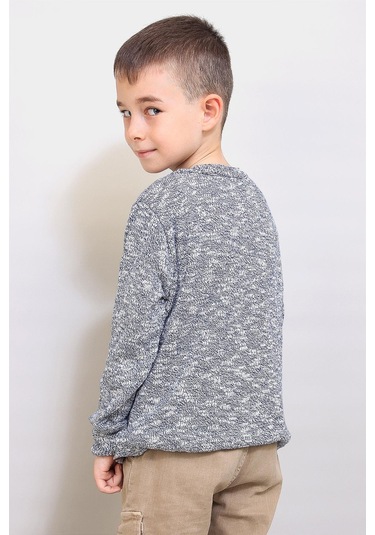 Alexandergardı Çocuk Desenli Triko Kazak C19-ag50384 Gri