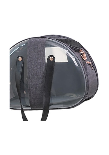 Homyl Kedi Taşıyıcı Köpekler Yavru Yavruları Gine Domuzu