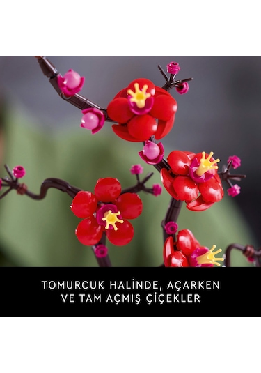 LEGO® Botanicals Erik Çiçeği 10369 – Yetişkinler için Pastel Mavi Saksi İçeren Dekoratif Çiçek Modeli Yapim Seti (327 Parça)