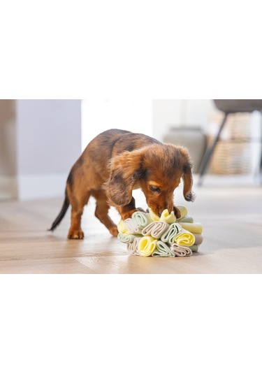 Beeztees Köpek Ödül Saklama Oyuncağı, Top, Polar, Gri/yeşil, 13cm