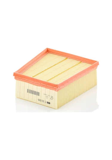 Mann Filter C22026 Hava Filtresi