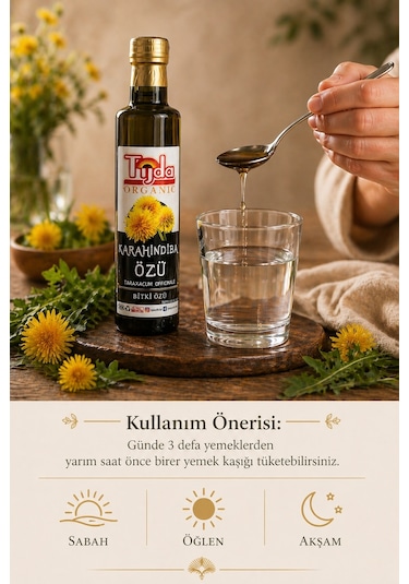 Tijda Taraxacum Officinale Karahindiba Kökü Bitki Özü 250 ML