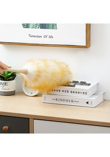 Pazly Pratik Toz Ve Tüy Temizleme Aracı - Dayanıklı Ev Gereci Alma - Fu