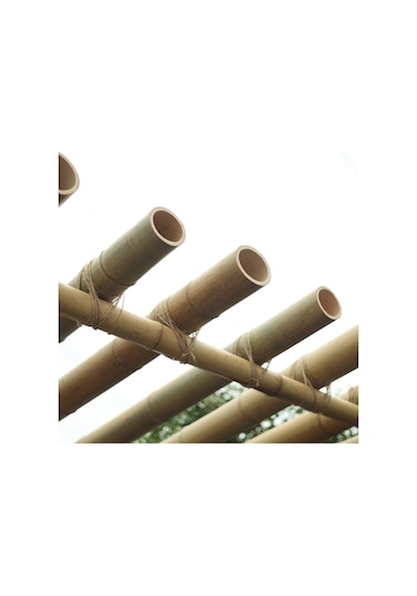 Dekoratif Bambu Xl
