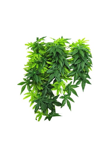 Sones Tırmanma Evcil Hayvan Kutuları Akvaryum Balık Tankı Peyzaj Simülasyon Tesisi, Stil: T007 20 İnç