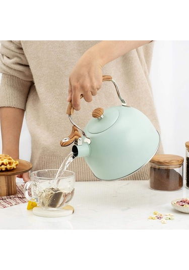 Düdüklü Su Isıtıcısı, 2,5 L Düdüklü Su Isıtıcısı, Gazlı Ocak İndüksiyonlu Ocak Paslanmaz Çelik Su Isıtıcısı 01 Diğer