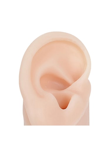 Suntek Yumuşak Silikon Kulak Modeli Sahte Kulak Öğrenme