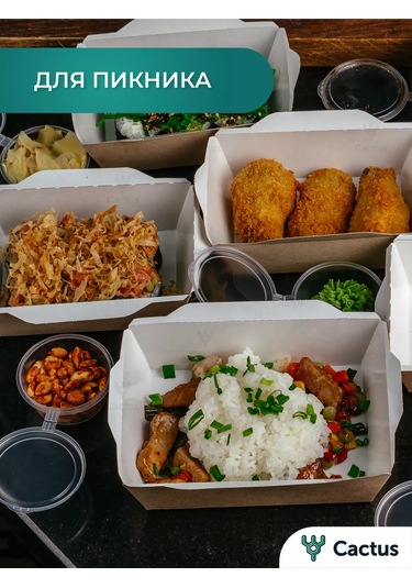 Cactus Tek Kullanımlık Trifle Kutuları, 800 Ml Gıda Kapları 224868223 100 adet