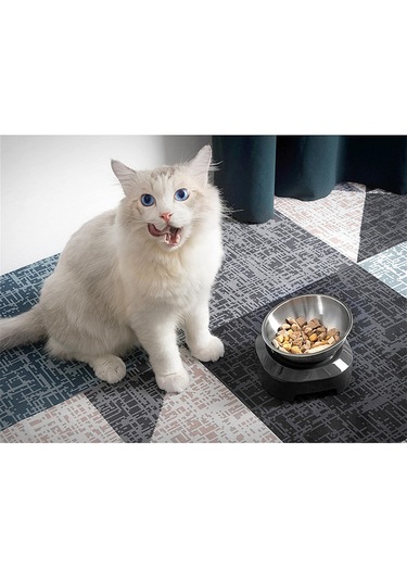 Homyl Gri Tabanlı Köpek Kaseleri Tavşan Için Tek-kase