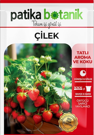 75 Adet Yerli Ata Sarmaşık Çilek Tohumu