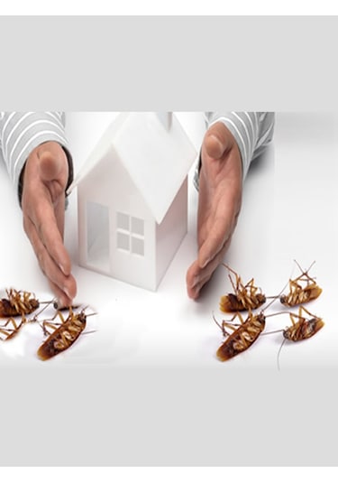 Basf Goliath Hamamböceği Jel Yemi 35 G