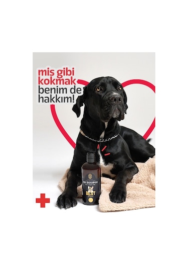 Doku Pet Cosmetic Kedi Köpekler İçin Göz Yakmayan Şampuan 500 ML