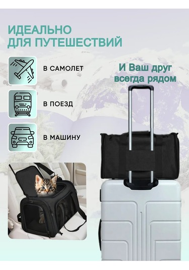 Rnb4pets Kedi Ve Köpek Taşıma Çantası 100884935