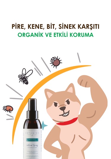 Botanivo Köpekler İçin Pire & Kene Karşıtı Sprey 2'li