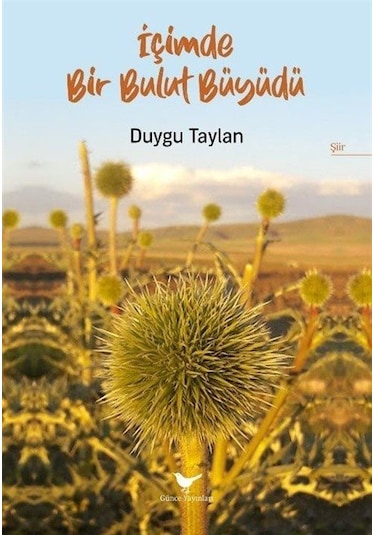 İçimde Bir Bulut Büyüdü - Duygu Taylan - Günce Yayınları