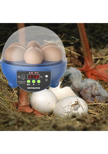 Suntek Yumurta Kuluçka Makineleri Otomatik Civciv Kuluçka