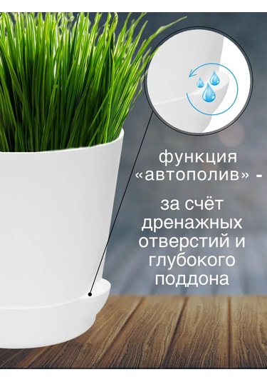 Interm Küçük Kaktüs Saksısı, Tabaklı, Saksı Seti 0,4 L 362274406