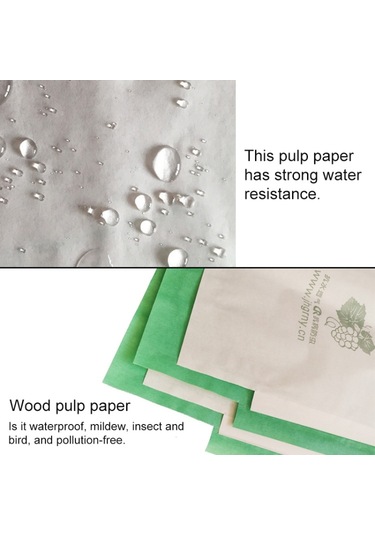 100pcs Su Geçirmez Üzüm Ambalaj Torbası Kağıt Torba Meyve Koruyucu Çanta, Spesifikasyon: 29x38, Rastgele Renk Dağıtım, Boyut:29x38