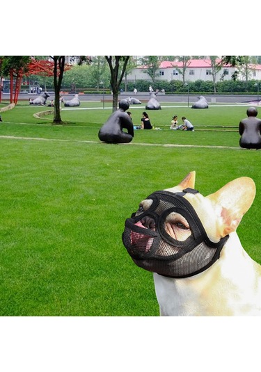 Homyl Ayarlanabilir Pet Köpek Dil-çıkartılmış-siyah-m