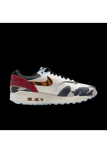 Nike Women's Air Max 1 '87 Çok Renkli