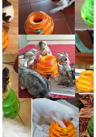 Thentech Dönebilen Hazneli Oyuncak 3 Katlı Kedi Köpek Oyuncağı Turuncu