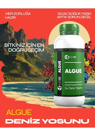 Agroege İthal Sıvı Deniz Yosunu Algue Gübre 1 LT