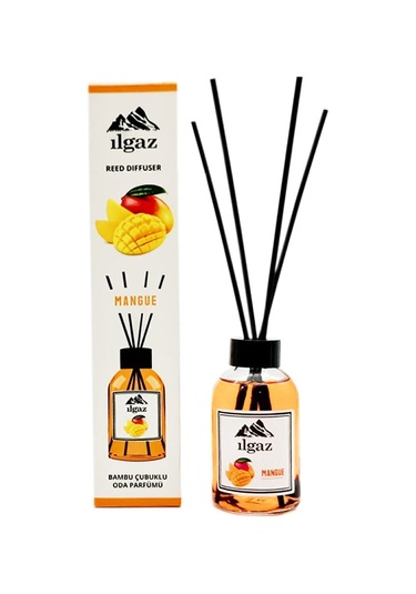 Ilgaz Okyanus + Mango Bambu Çubuklu Oda Kokusu 2 x 110 ML