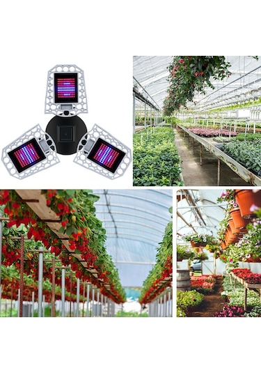 Sones Led Bitki Lambası Tam Spektroskopi Kırmızı Ve Mavi Dolgu Işığı Bitki Büyüme Lambası, Güç: E26 240 Boncuk
