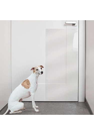 Köpek Tırmalama Mobilya Kapı Koruyucu Yapışkanlı Folyo 60 x 85 CM Şeffaf
