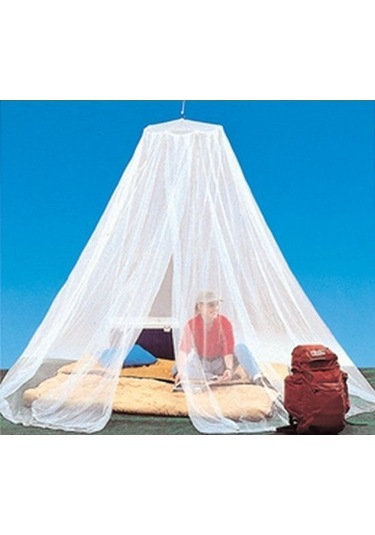 Coghlan's Büyük Kamp Cibinliği Çok Renkli