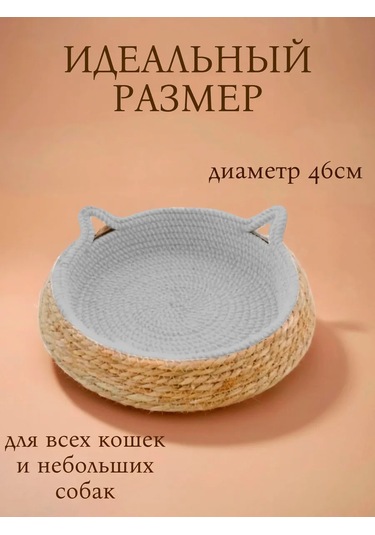 Vektorı Kediler Ve Köpekler İçin Tırmalama Tahtalı Yatak 463888976