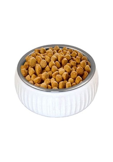 Mikopet Organik Seramik Mama Kabı Beyaz