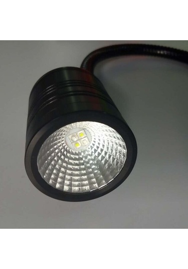 Balık Yumurtlama ve Çoğaltma İçin Led