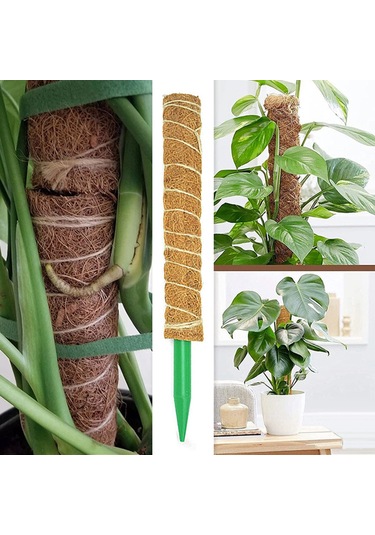 Lebihmurah 3044 Bitki Tırmanma Hissesi Kullanımı Kolay Hava Koşullarına Direnç Bitki Büyüme Hissesi