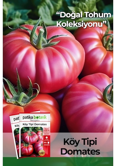 200 Adet Yerli Ata Yerli Köy Tipi Domates Tohumu