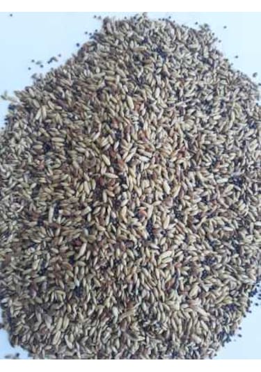 Mh Karışık Kanarya Yemi Kaliteli Karışım Açık 2 KG