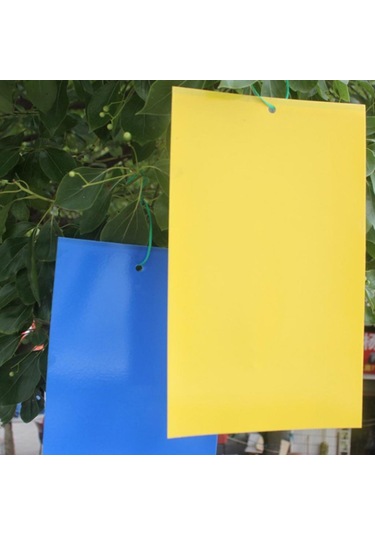 Homyl 10 Adet Yapışkan Tuzaklar Tutkal Uçan Böcek Mavi