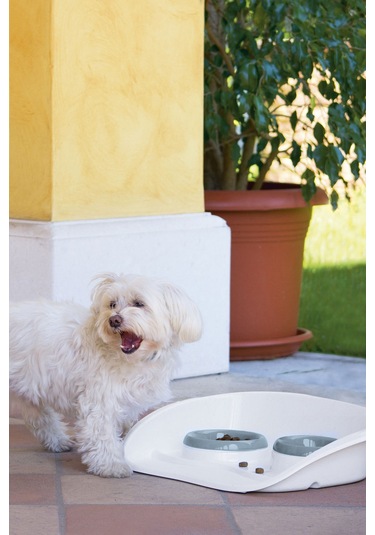 İkili Mama Kabı 300ml + 250ml