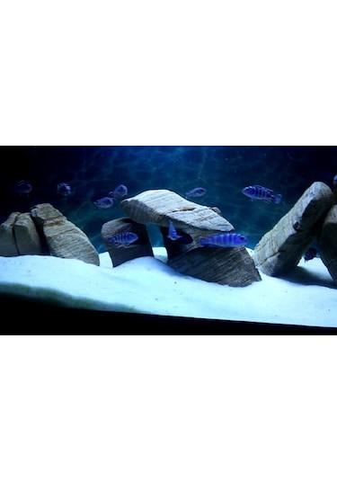 Akvaryum Kumu 1 Kg Beyaz Kalsit Silis ( 0,5 - 1 mm )