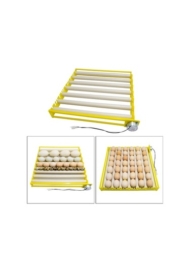 Pazly Yumurta Tüpleri Tepsi Suntek Ördek Kaz İnkübatör Uyumlu 7 Li