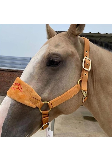 Homyl At Yuları Yastıklı Ayarlanabilir Kırmızı-m Kırmızı M