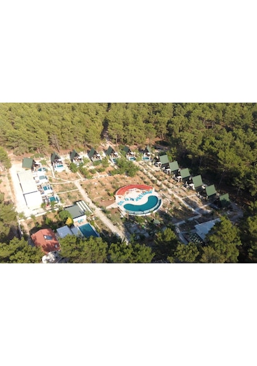 Masifev Stella 70M2 2+1 Dev Üçgen Ahşap Ev