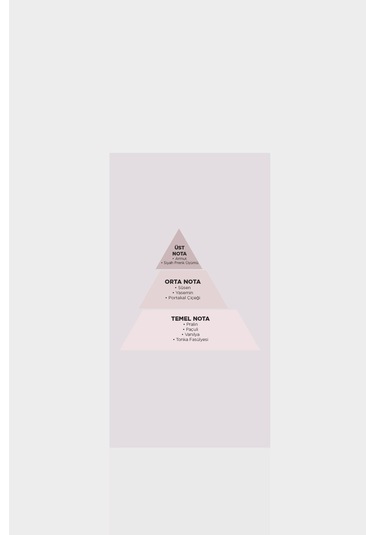 Lufian Annabel Kadın Parfüm EDP 100 ML