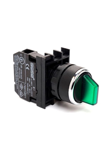 Emas B100sl20y ,2-konum/kontak-1a Yeşil Kalıcı M22 Anahtar