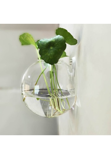 Monyee Yarı Dairesi Cam Duvar Süsü - Su Bitkileri İçin Isı Dayanıklı Borosilikat Vazo - Modern Ev Dekoru