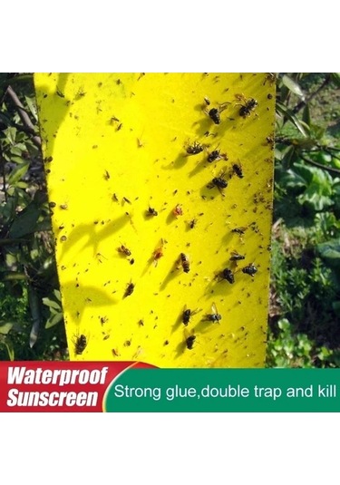 Zyzqstore 100 Adet Güçlü Meyve Sineği Tuzağı, Böcek Sarı Yapışkanlı Farklı Renklerde, 30-100 Adet