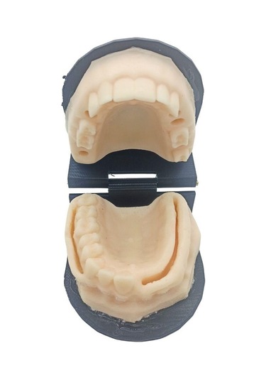Barışhan Medikal Silikon Çene Diş Dikiş Modeli Ortodontik Alt Üst Çene Periodontal Sütür Eğitim Modeli-2