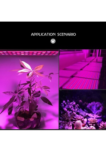 Tongxida 45w 144led Tam Spektrum Bitki Işığı, Fide Yetiştirme, Çiçekler, Ac85-265v Ab Diğer
